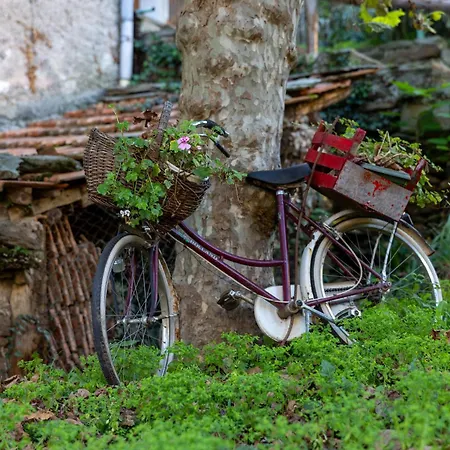 Apartment Casa Alda *