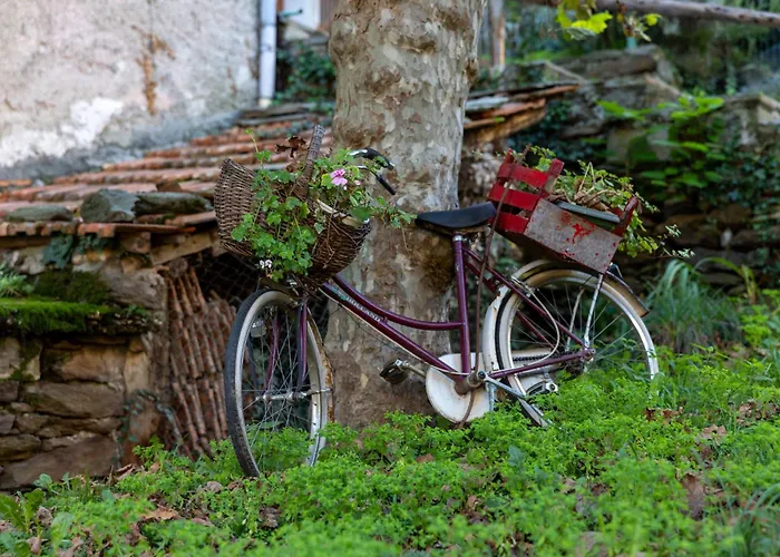Apartment Casa Alda *